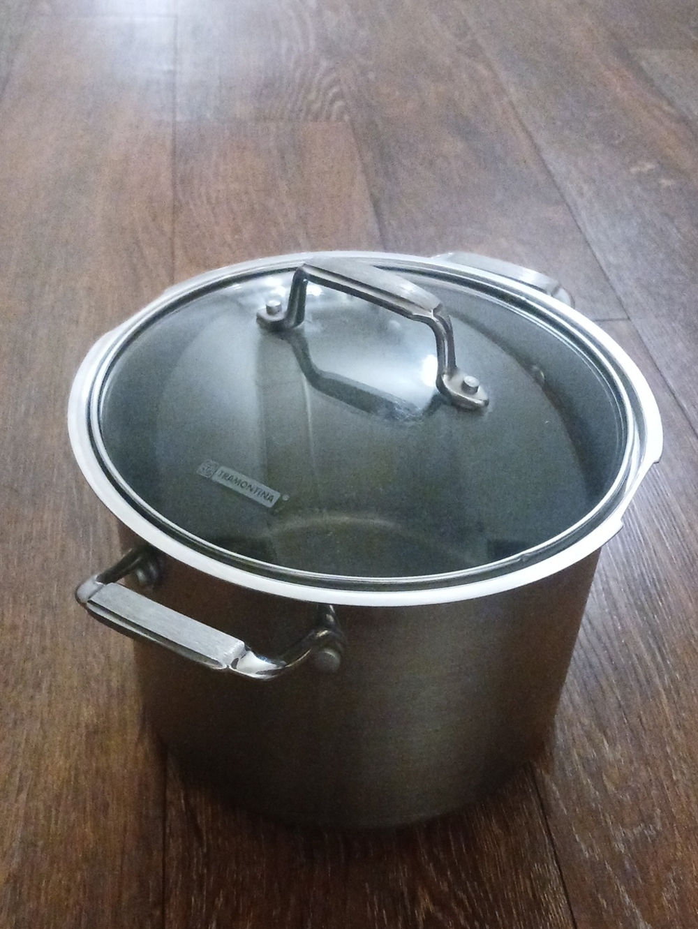 Tramontina Stainless Steel Stock Pot with Glass Lid - Silver